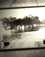 /album/fotogaleria/a0813-jpg1/