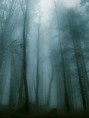 /album/fotogaleria/kingdomofghostsbyciril8ot-jpg1/
