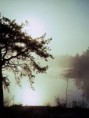 /album/fotogaleria/priroda09-jpg1/