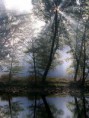 /album/fotogaleria/priroda19-jpg1/
