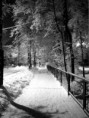 /album/fotogaleria/priroda24-jpg1/